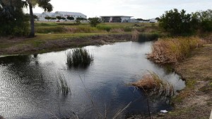 Contaminated pond?
