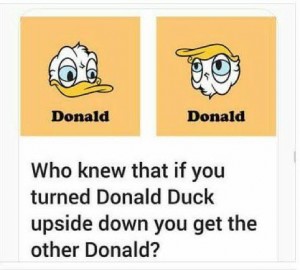 Donald upside down