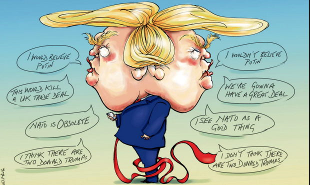 Trump by nicola jennings guardian