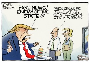 Trump mirror