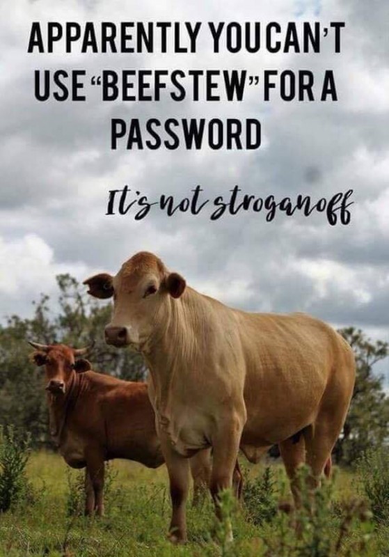 password7
