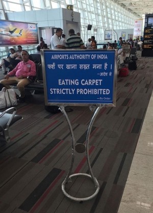 IIndia eating carpetMG_8832